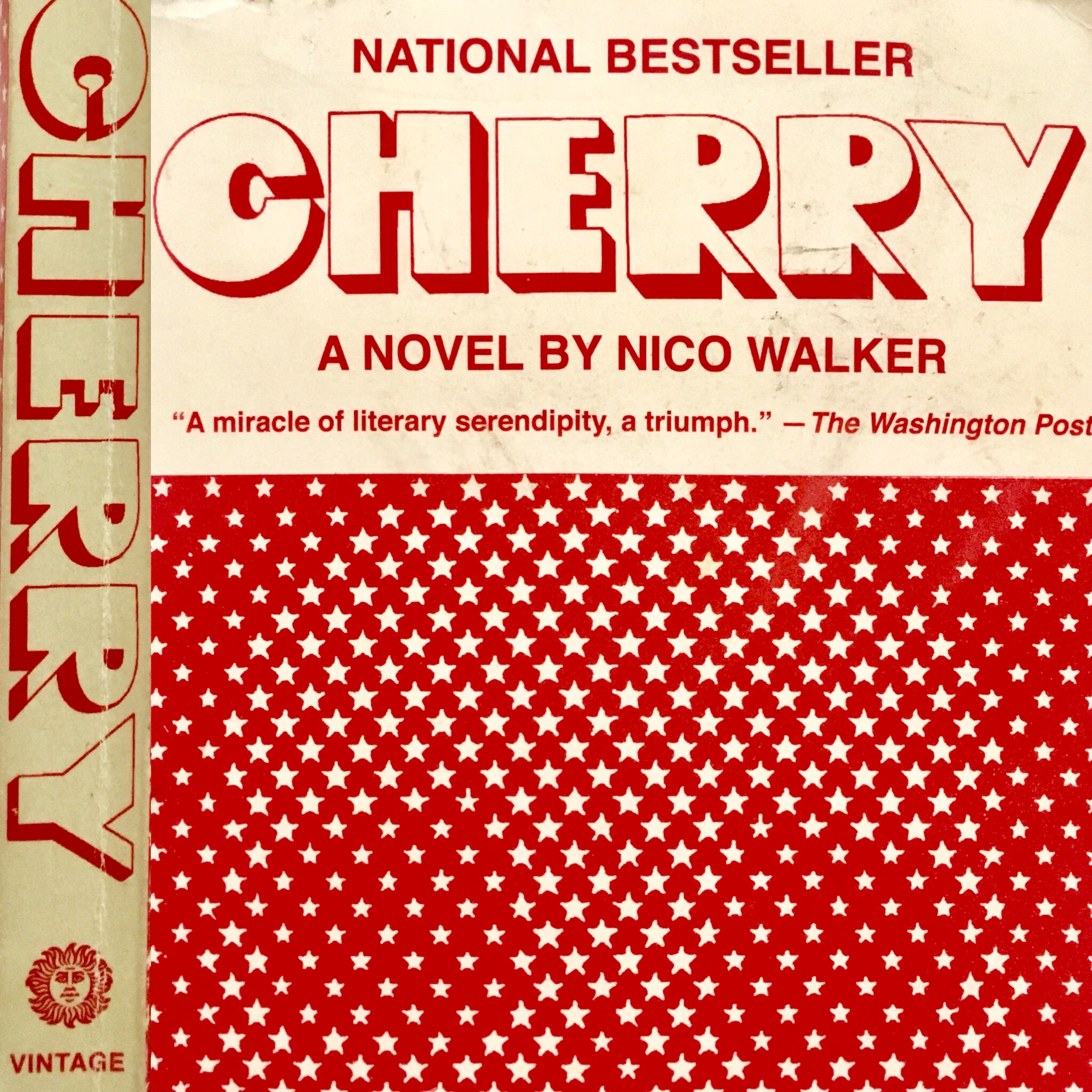 39: Tren W. aka Based Mountain on CHERRY (2018) by Nico Walker