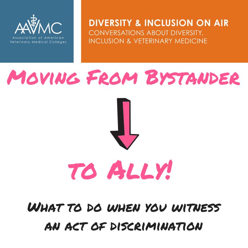56- From Bystander To Ally
