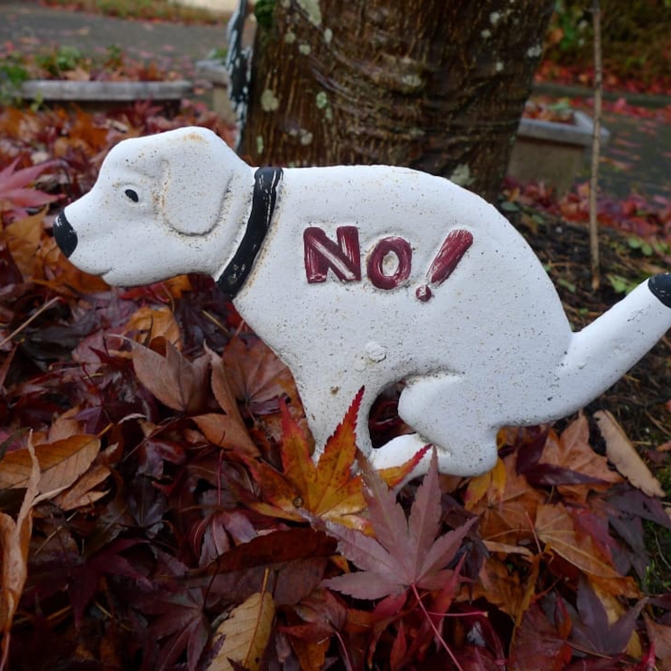 No Shit
