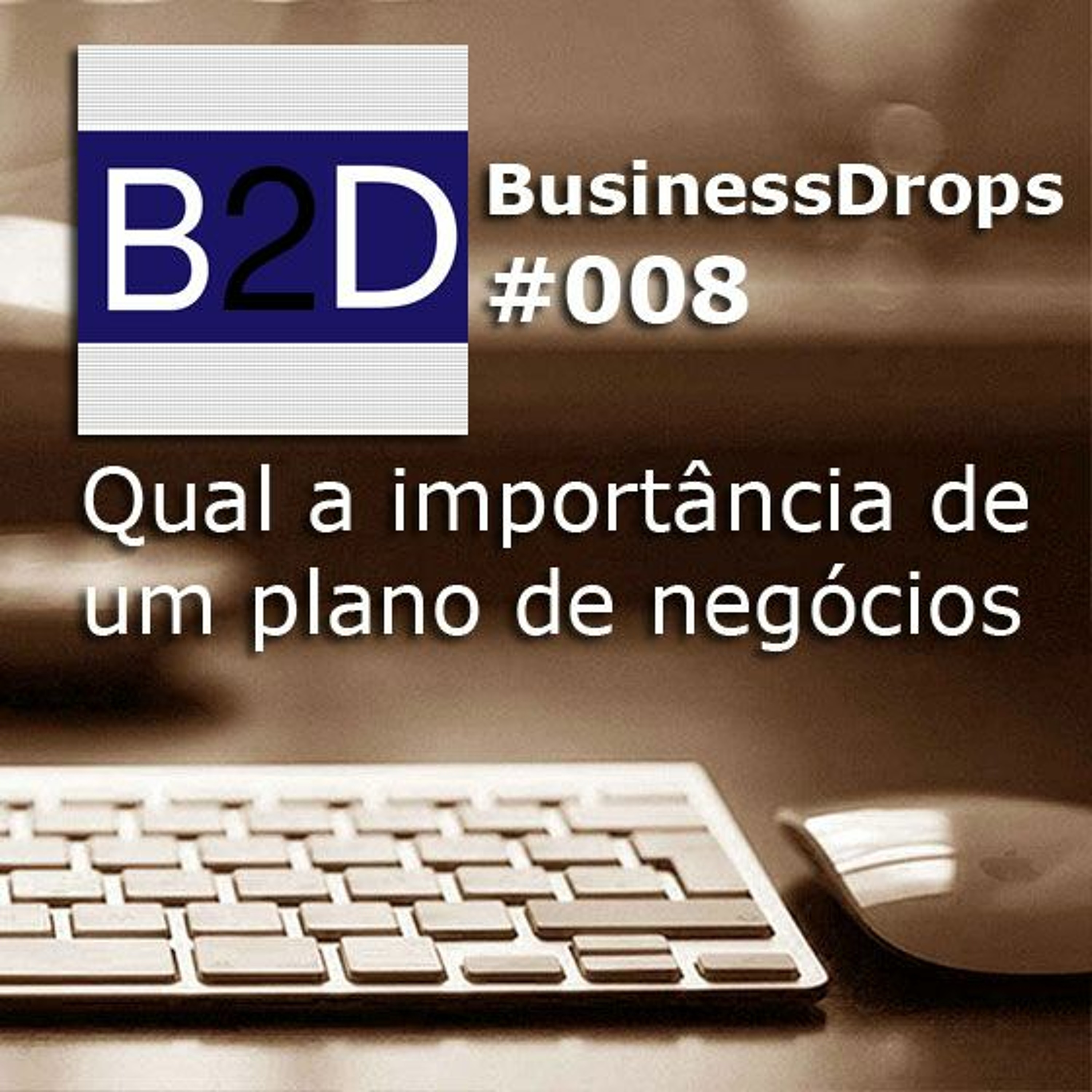BD08 - Qual a importância de um plano de negócios?
