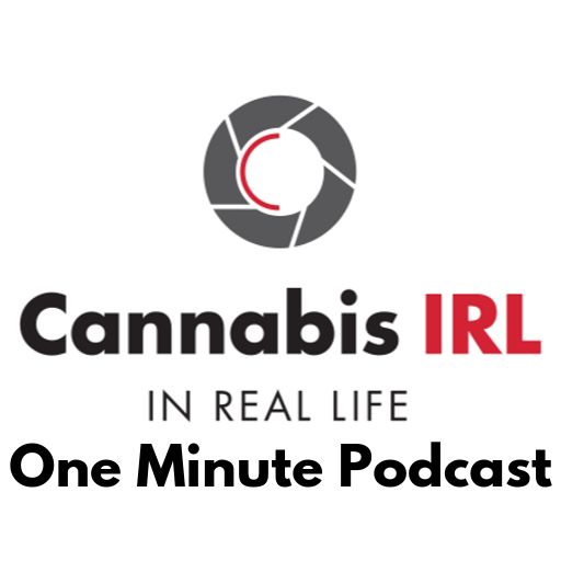 Cannabis In Real Life Podcast with Dan Larkin- 034