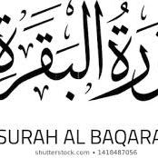 Quran Recitation: Surah AL Baqara(The Cow) Verses 1-25 Recited by Mohamed Marrouf
