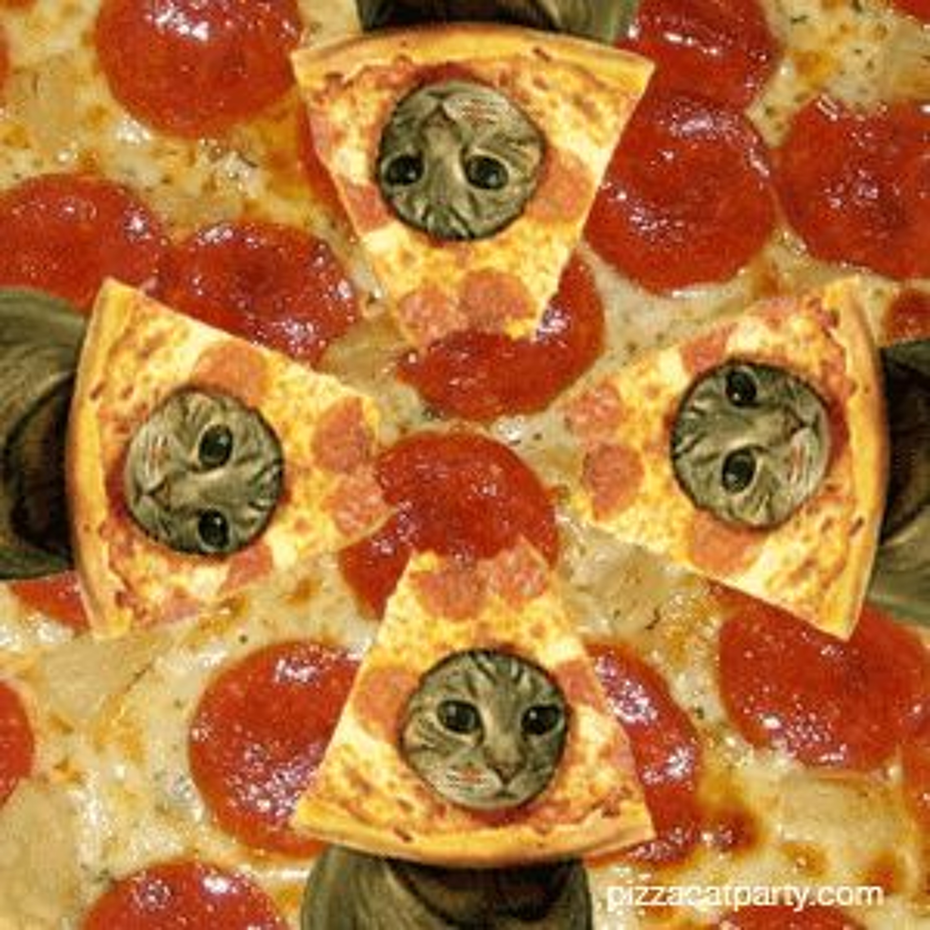 cold pizza party