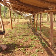 Radio talk show on the Water Towers project implementation in Mt. Elgon Uganda