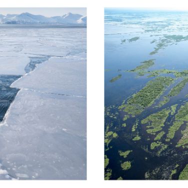 Icebergs and Marshes, Building communities on the ground level - 9.10.19
