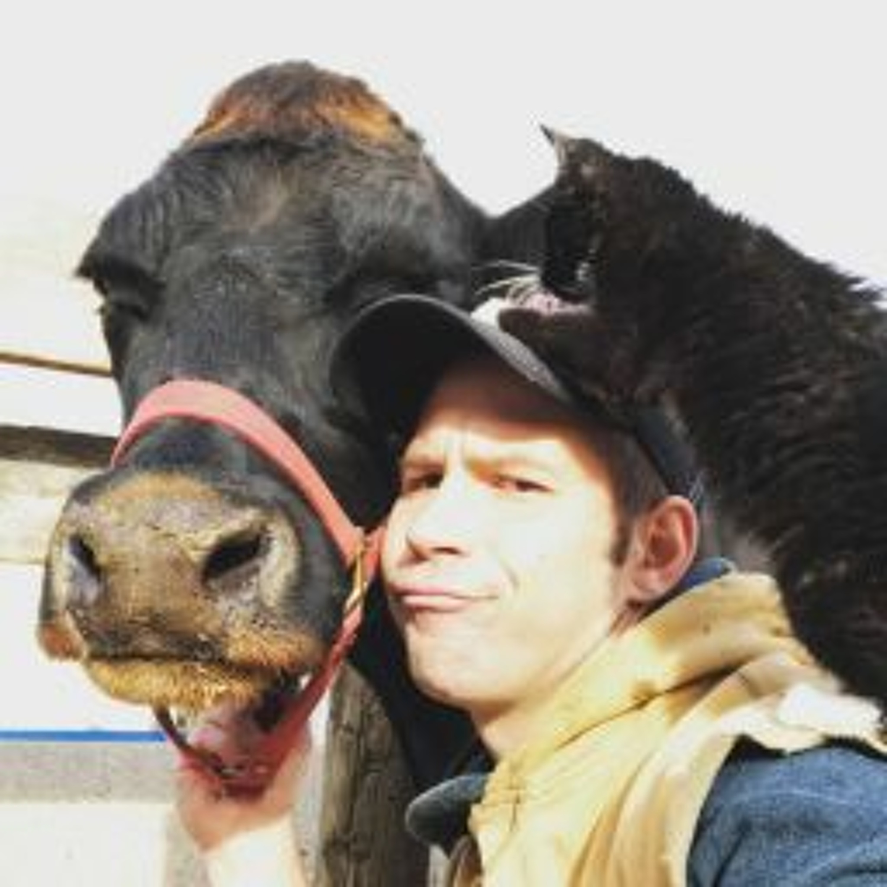 Ontario AgCast