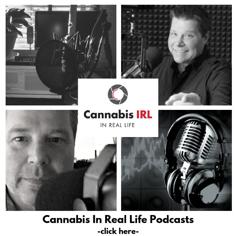 Cannabis In Real Life with Dan Larkin- 035