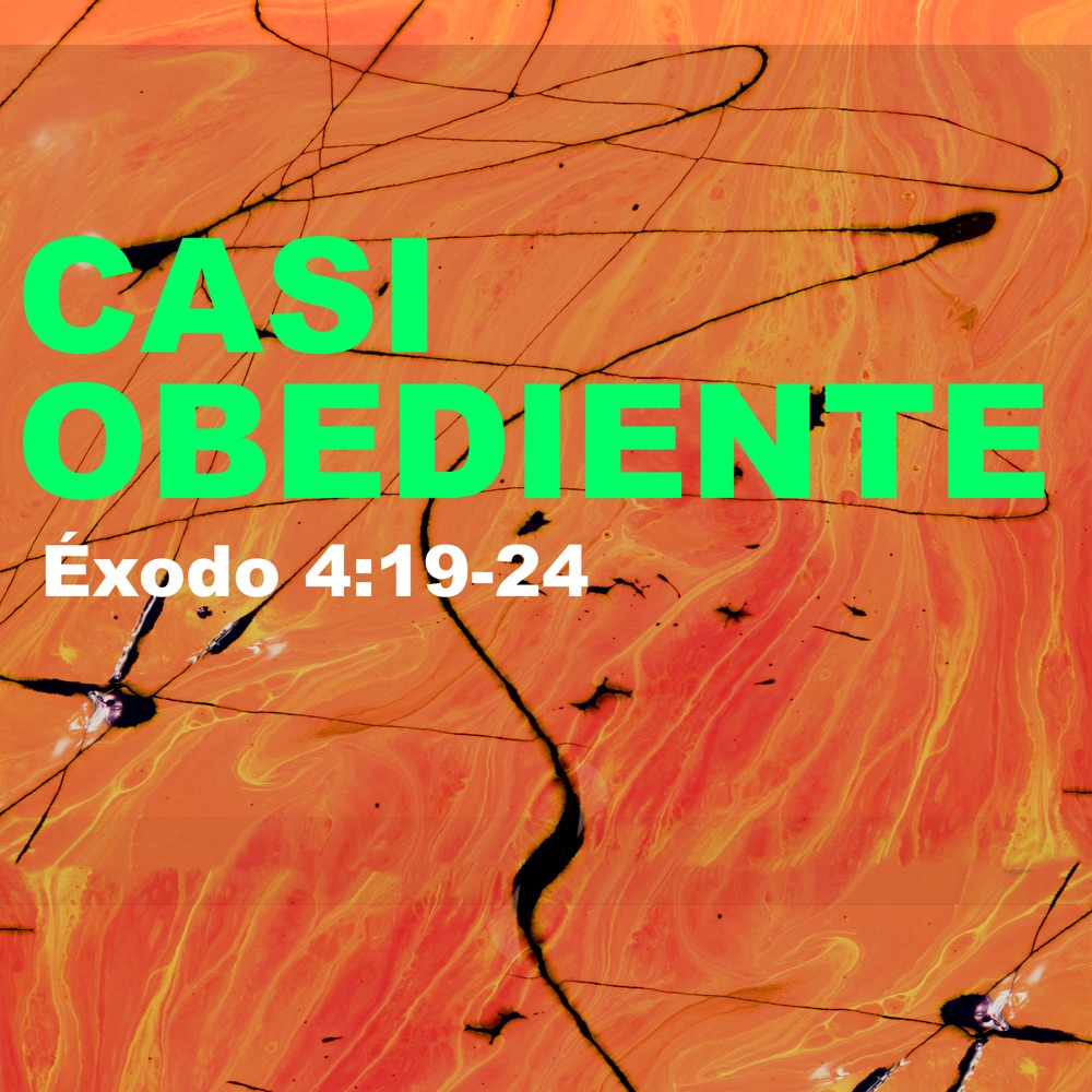 Casi Obediente
