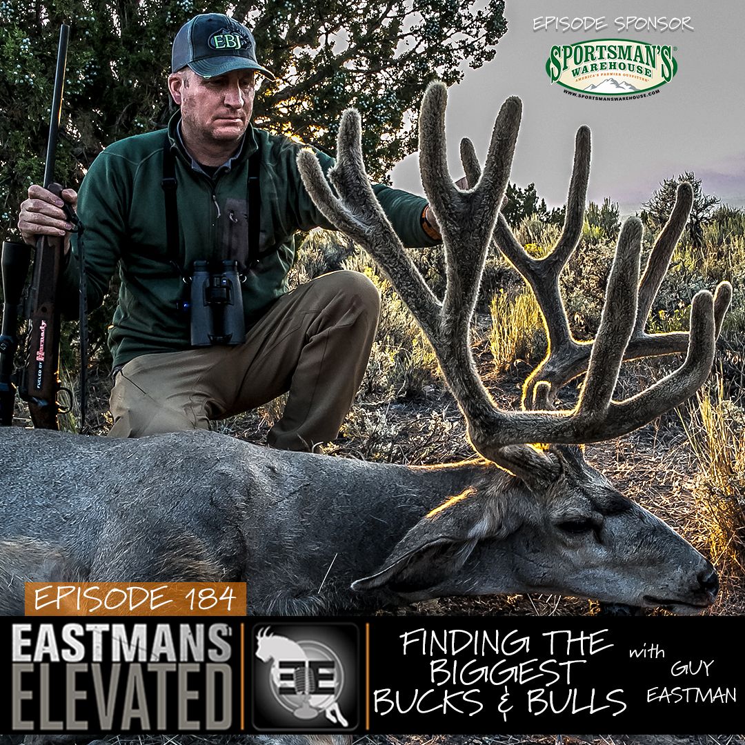 184- Finding The Biggest Bucks And Bulls With Guy Eastman