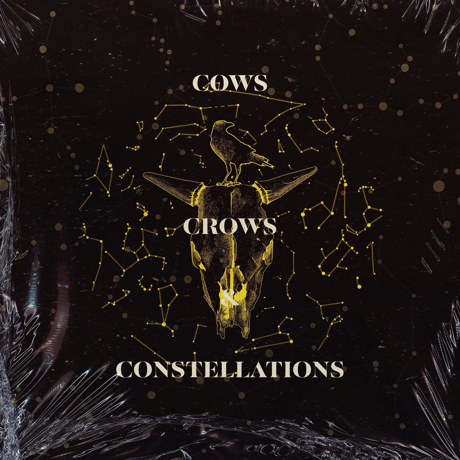 Cows, Crows, and Constellations
