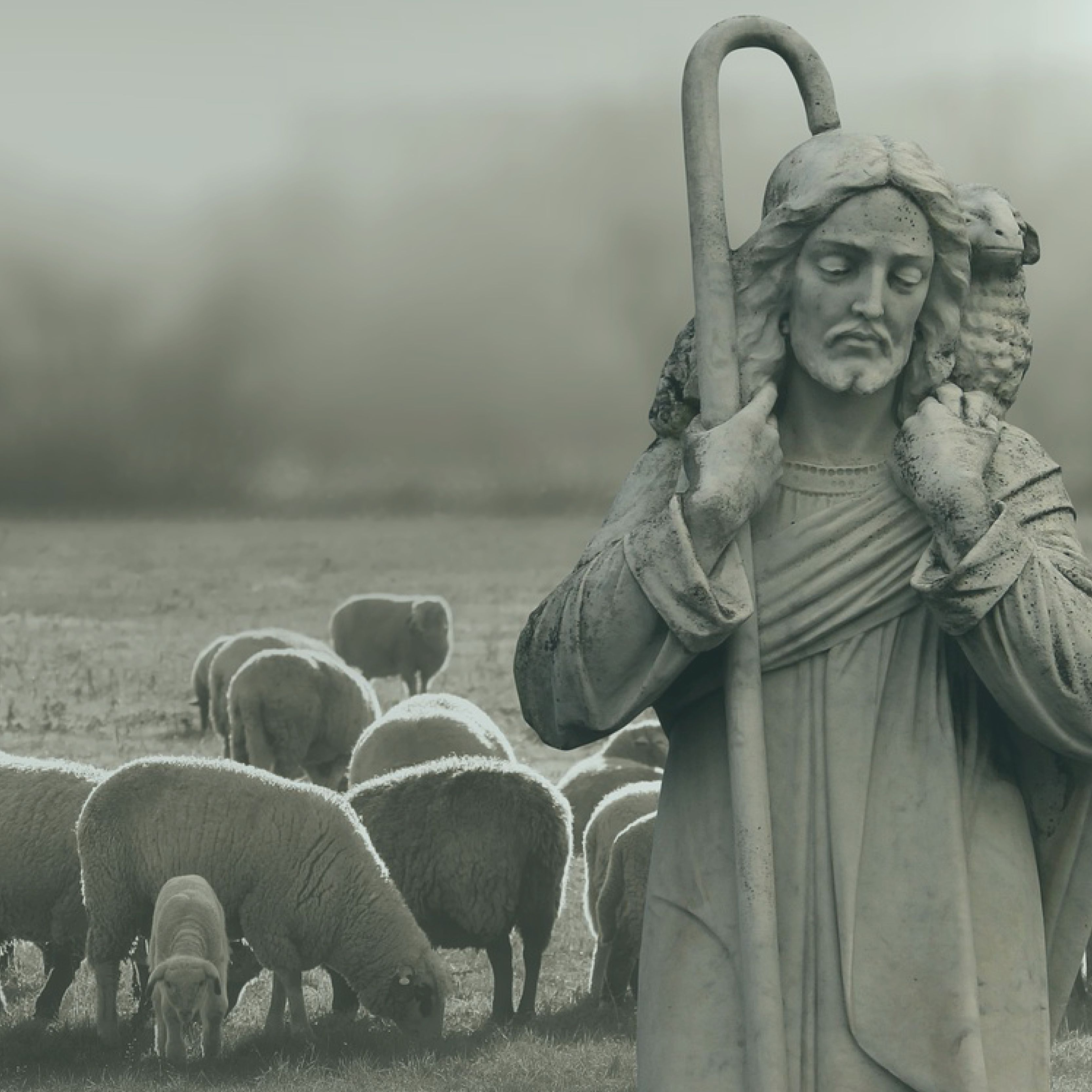 20 Outubro 2019 - Vigésimo nono domingo do tempo comum - Sl 120 (121)