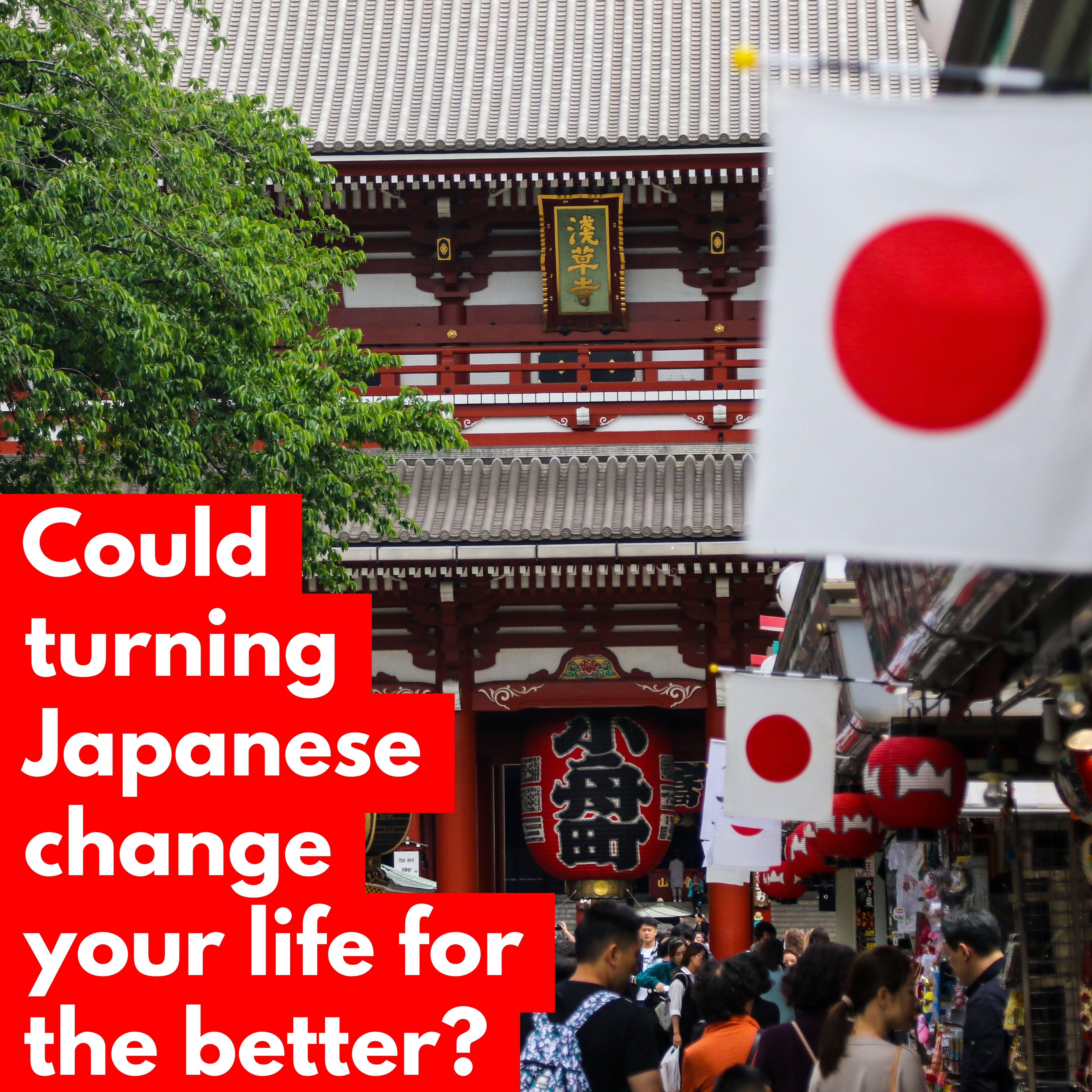 Could turning Japanese change your life for the better?