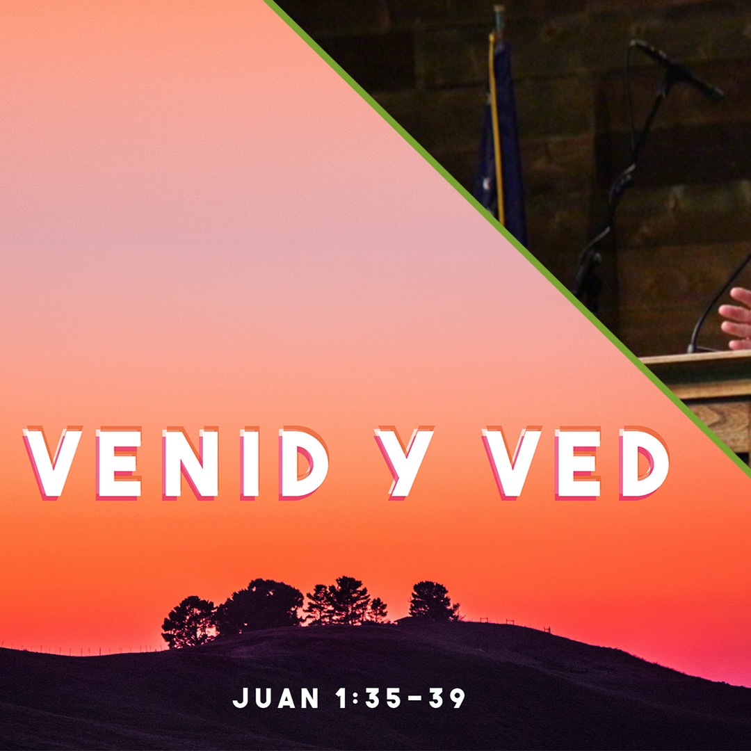 Venid y Ved