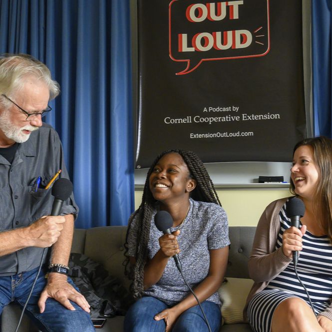 CCE Interns Share Stories of Discovery