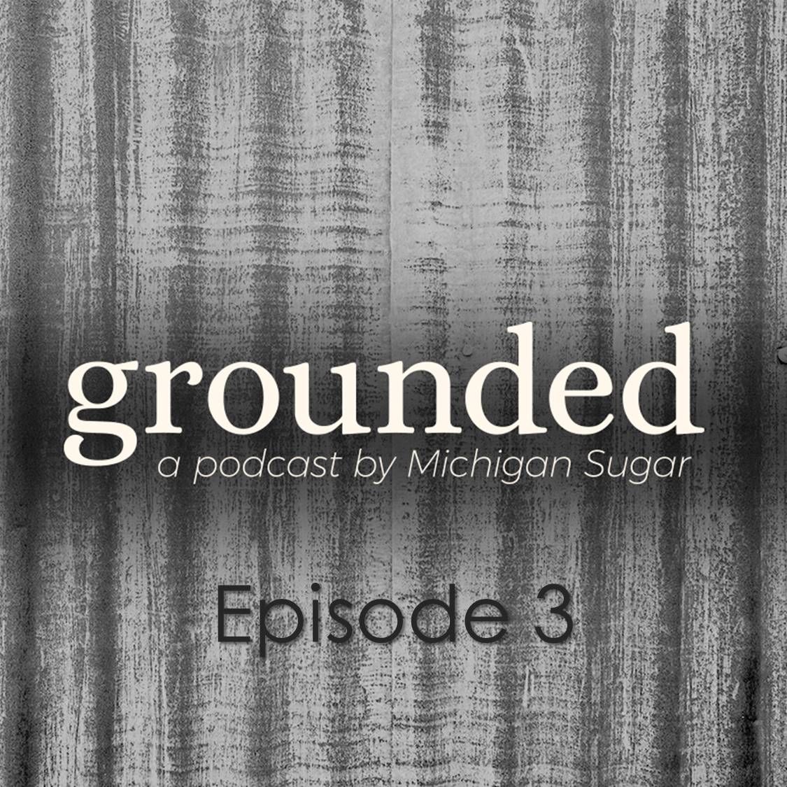 Grounded, Episode 3