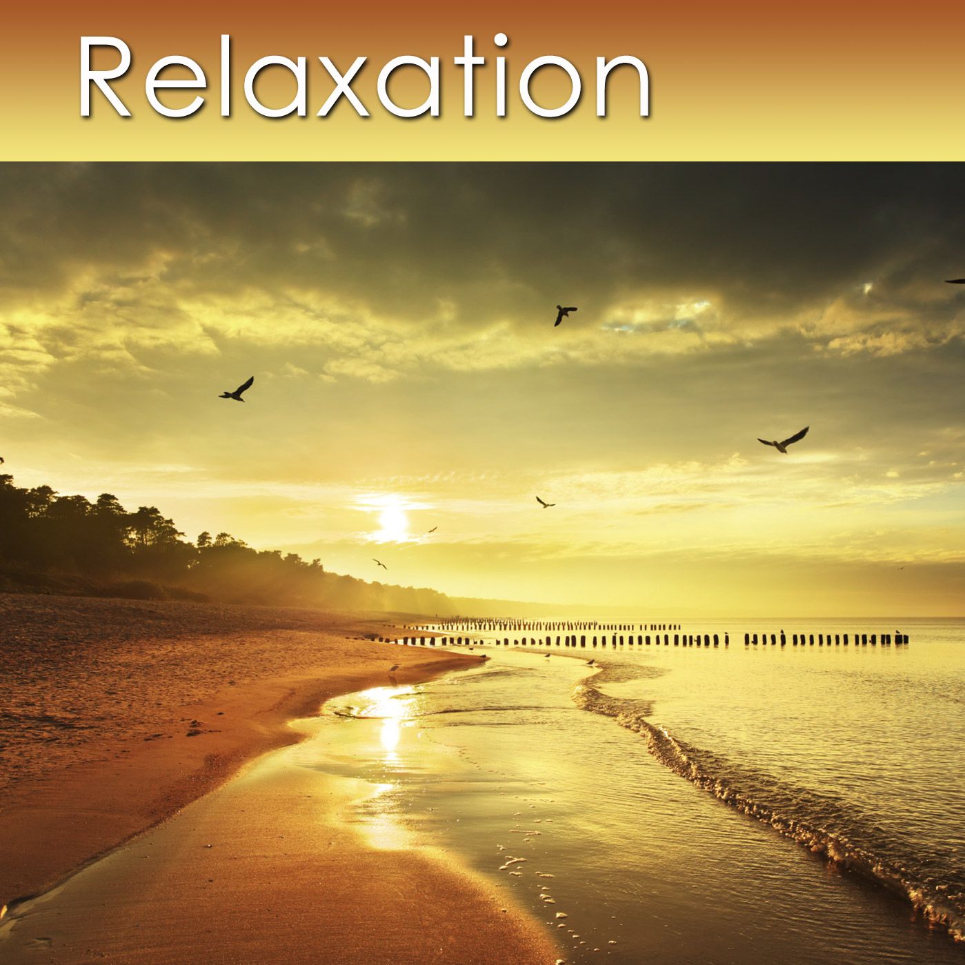 Gentle Relaxation Exercise - 30 minutes in length - only $0.95