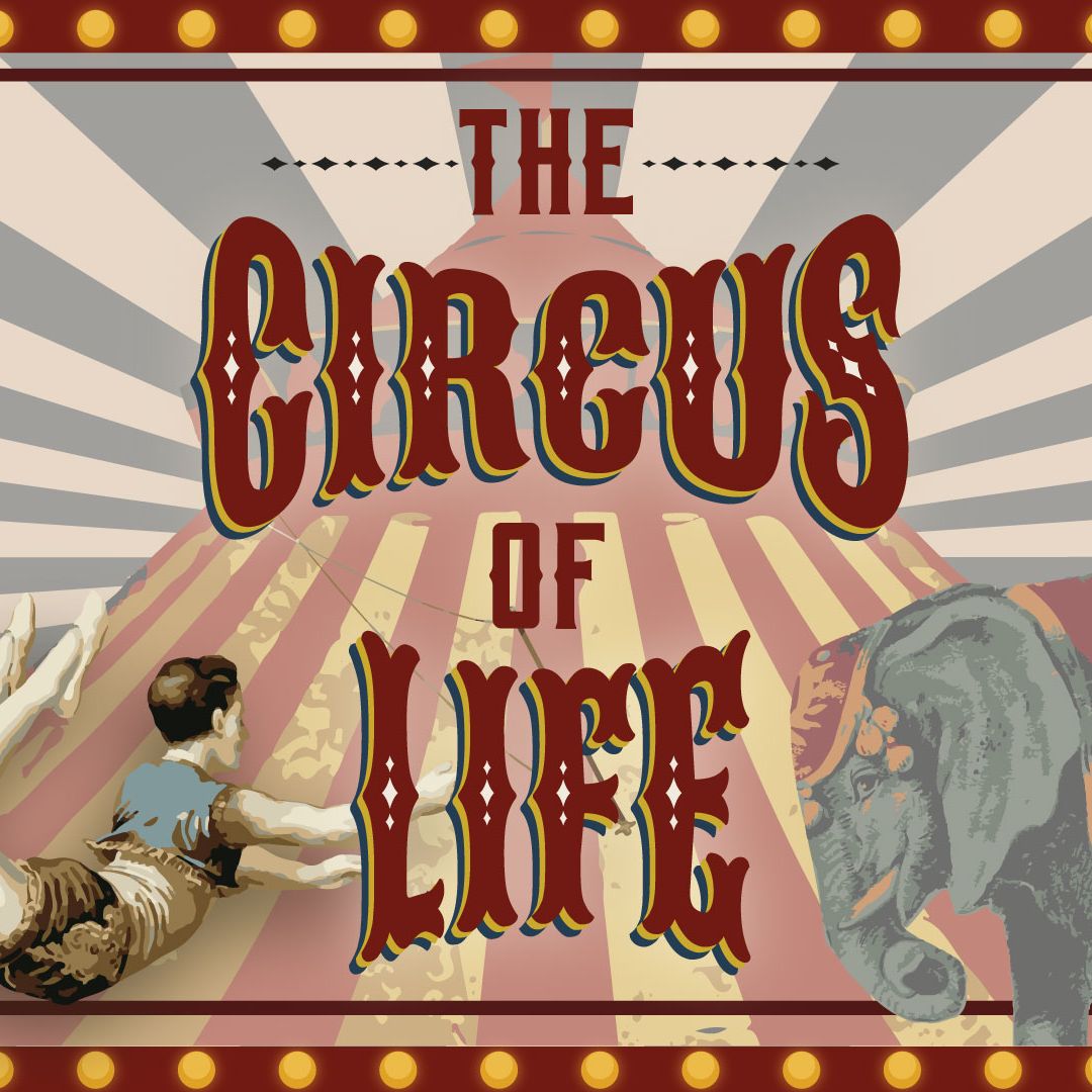 Circus Of Life: Failure-Week 4