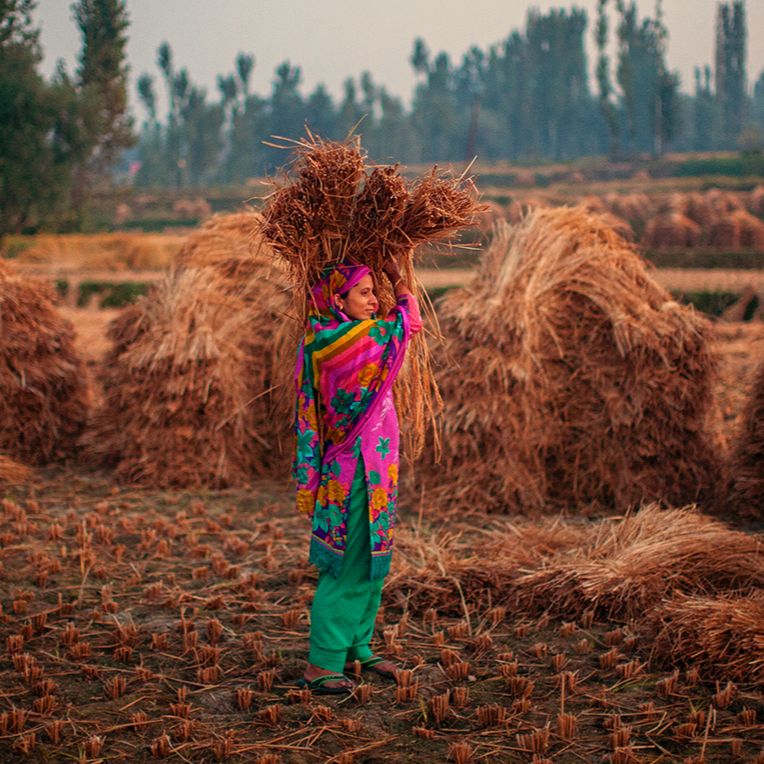 How to Reach the World’s “Unbanked” Women | Shamina Singh