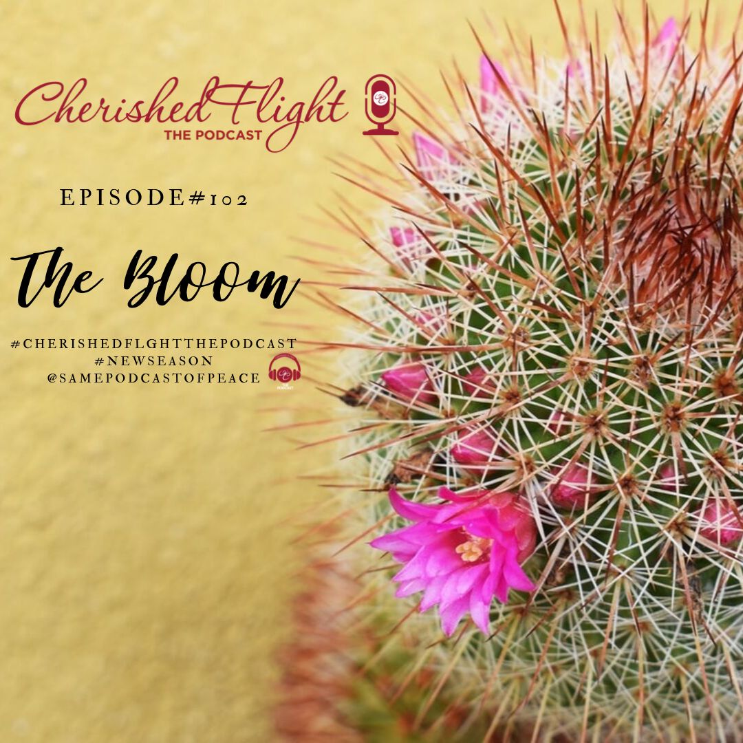 Episode 102 The Bloom