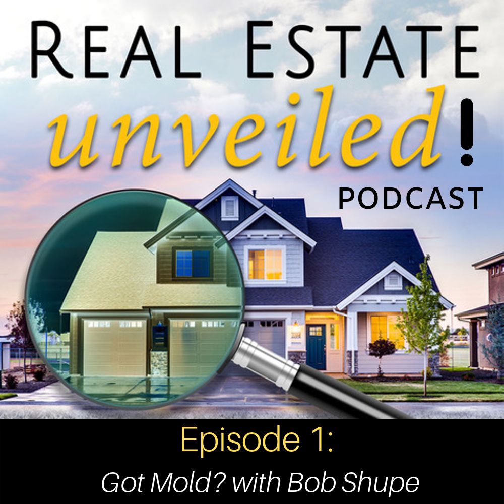 Episode 1: Talking Mold with Bob Shupe of The Cleaner Guys