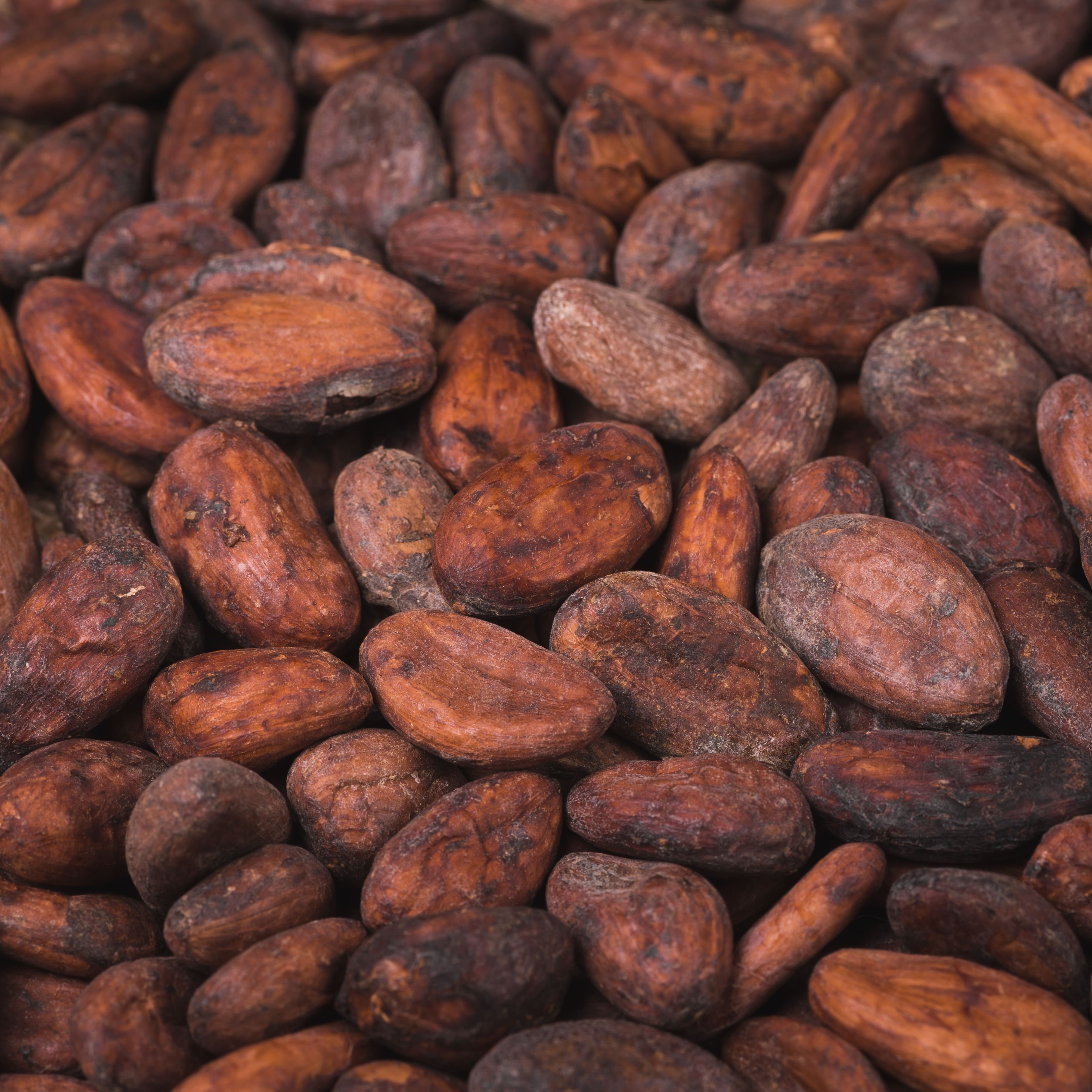 17 - The chocolate bar that is a pioneer for green investments