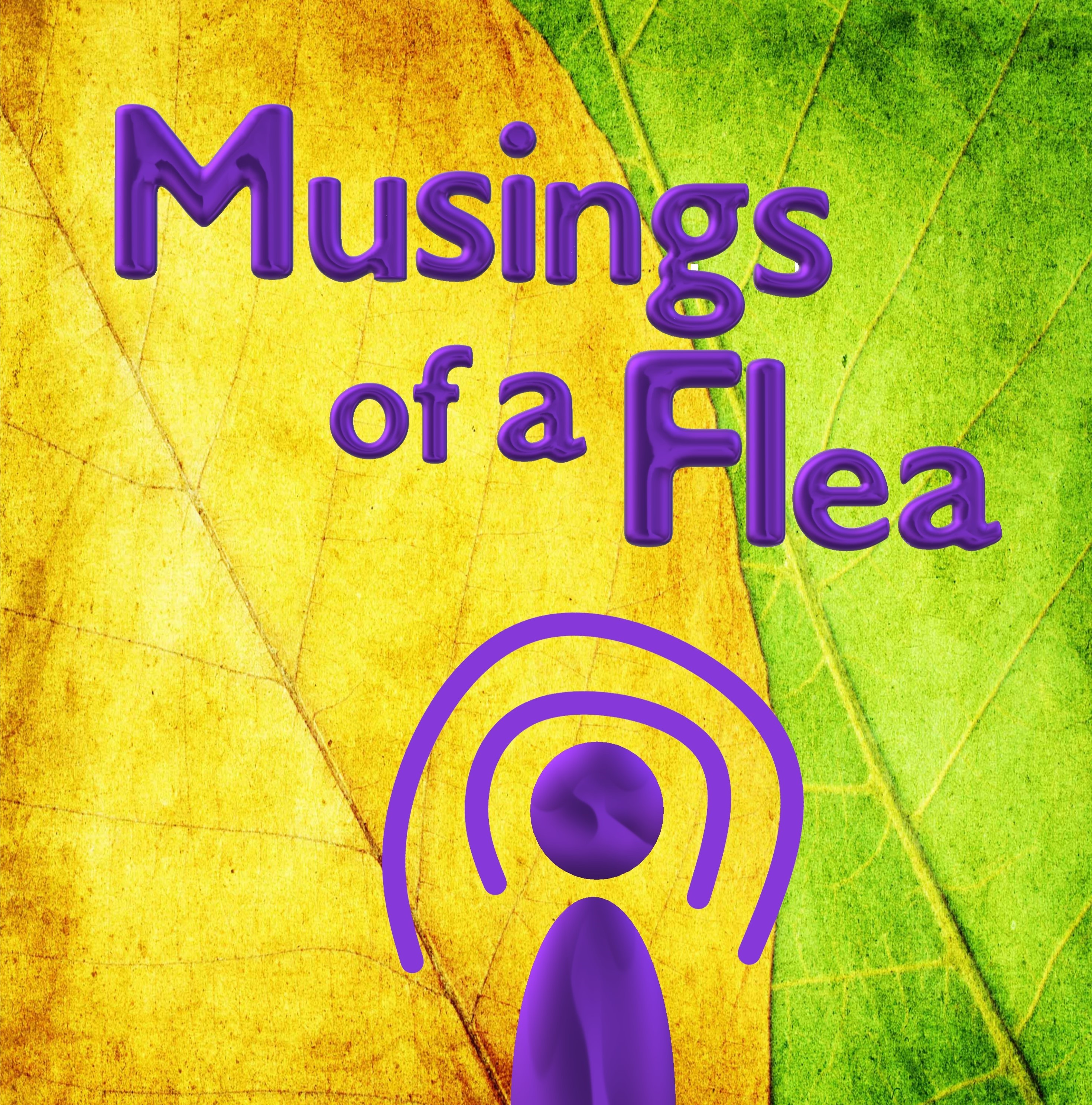 Return of the Flea!