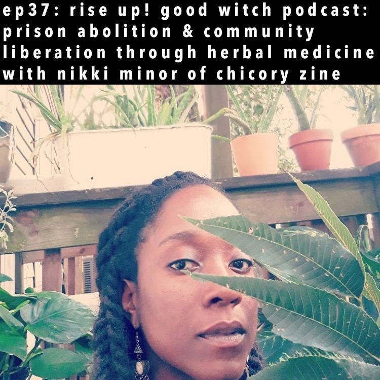 ep37: prison abolition, bail funds & folk herbalism with nikki of chicory zine