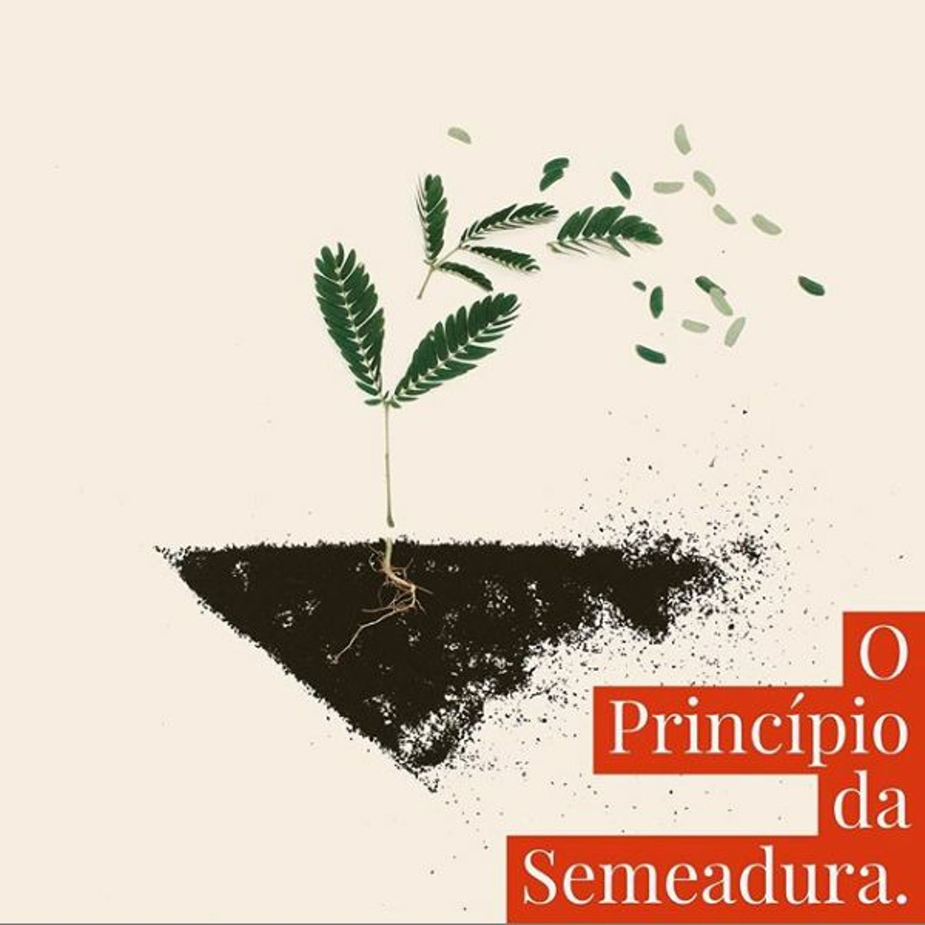 O Princípio da Semeadura