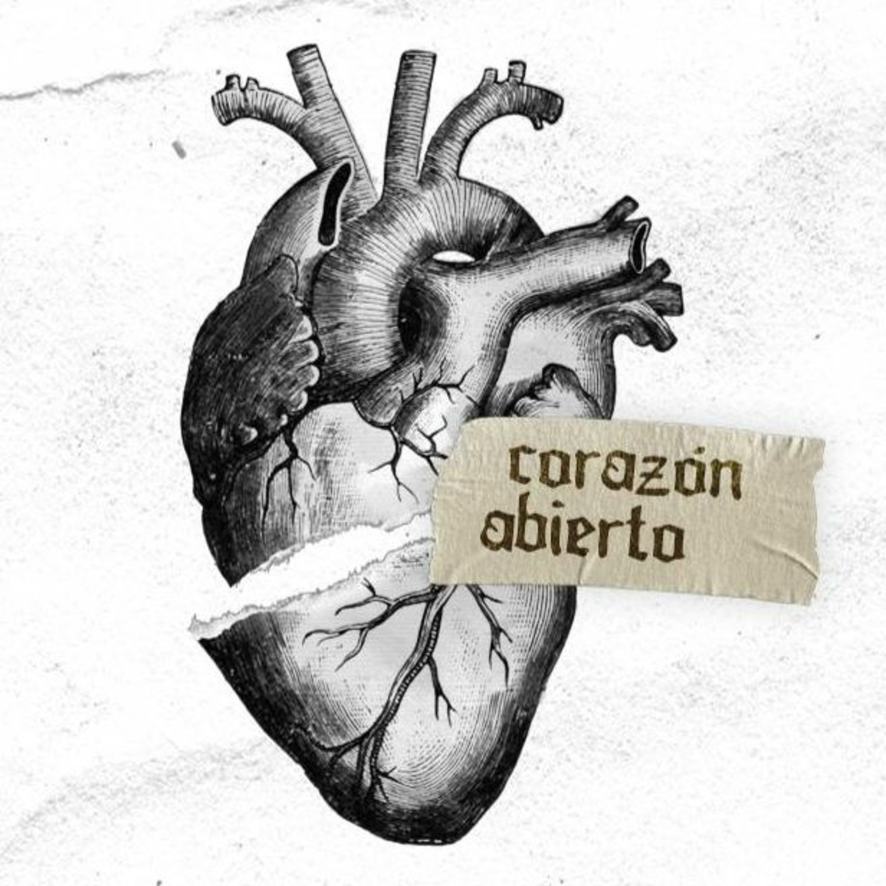Corazón Abierto con Jonathan Domigo