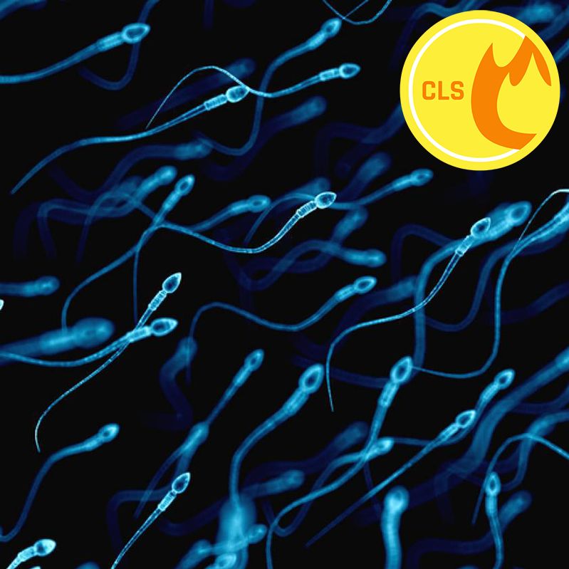 Fireside Chats, Episode 111: Infertility