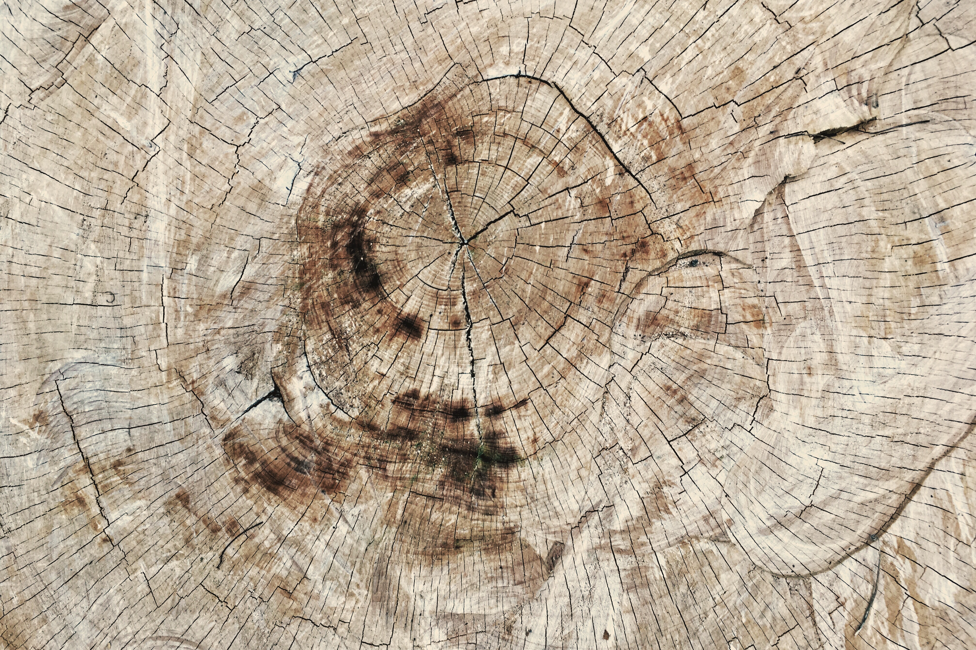 Episode 53: The Aging Dancer