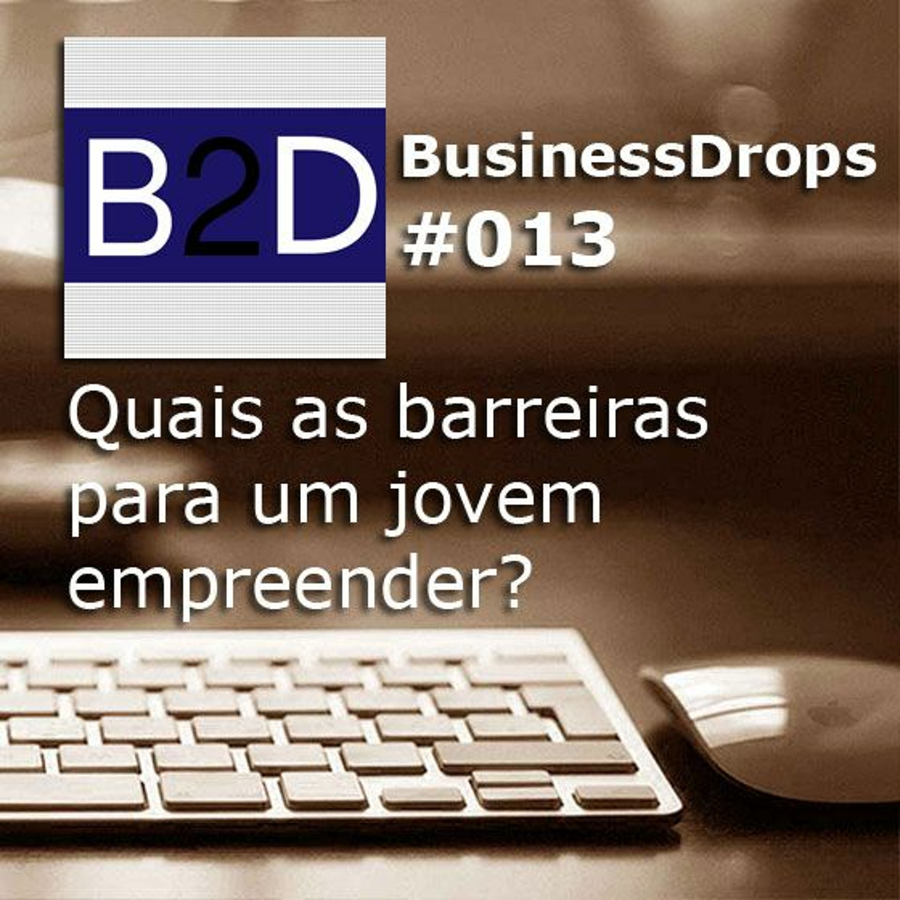 BD13 - Quais as barreiras para um jovem empreender?
