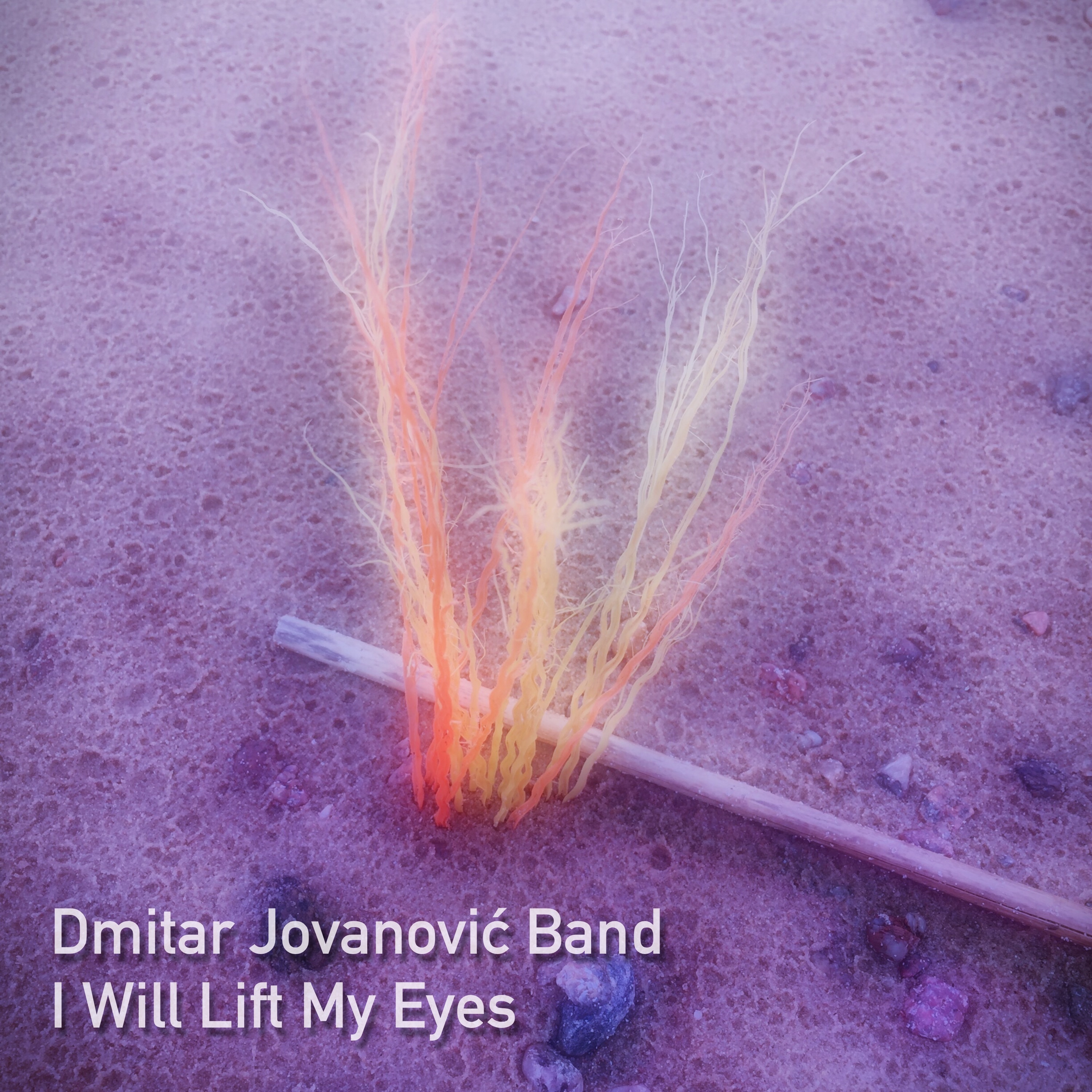 I Will Lift My Eyes