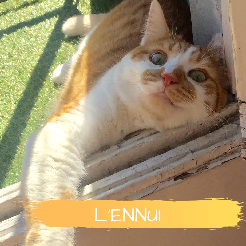 L'ennui, ce vide fertile !