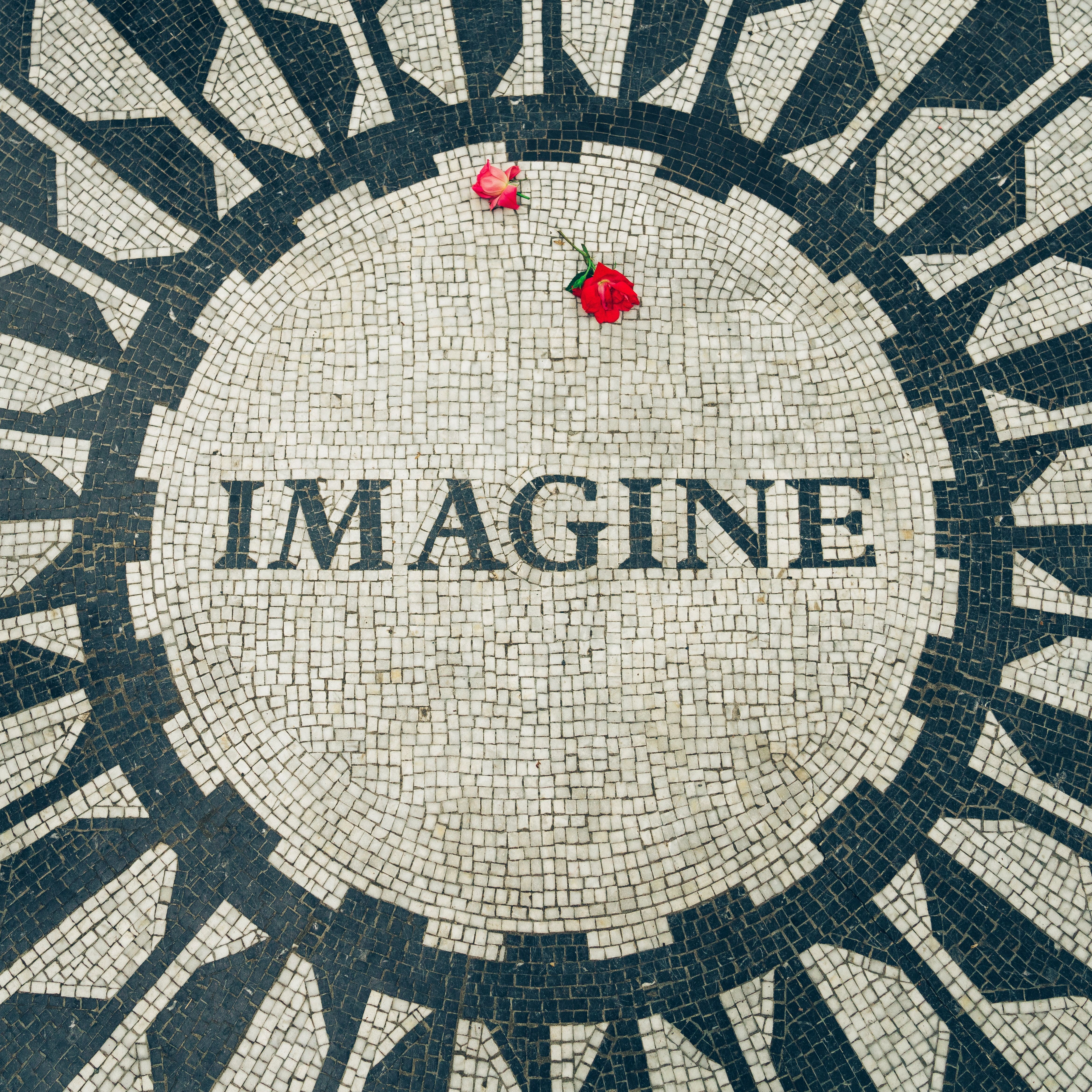 IMAGINE what YOU could BE and DO.