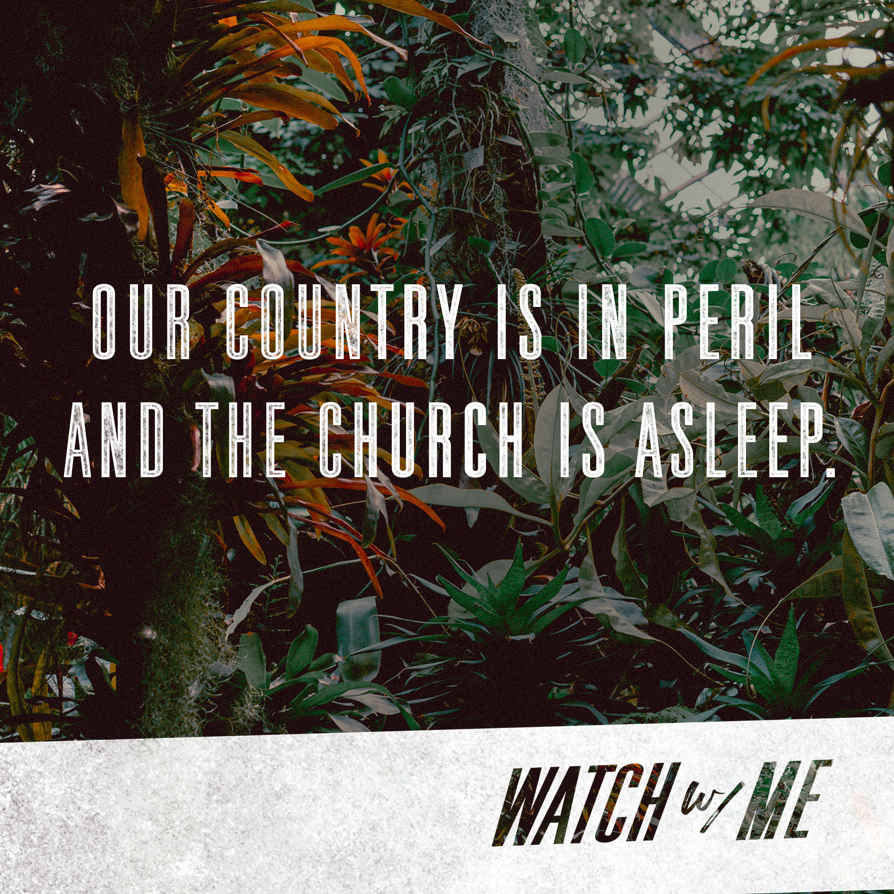 Watch With Me! - No Trivial Matter