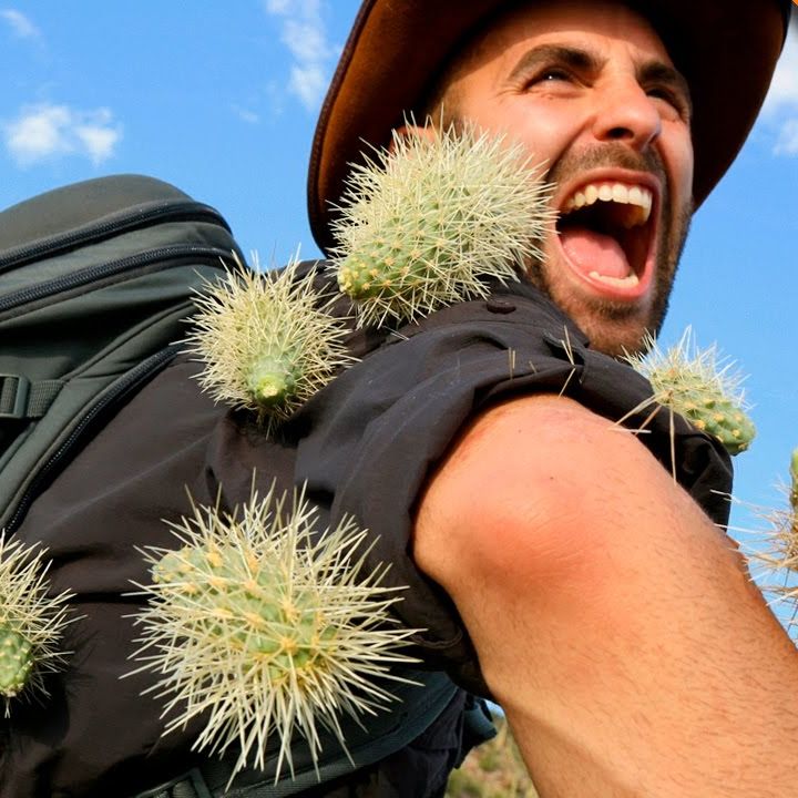 What A Beautiful Podcast! EP162 - Cactus Fight