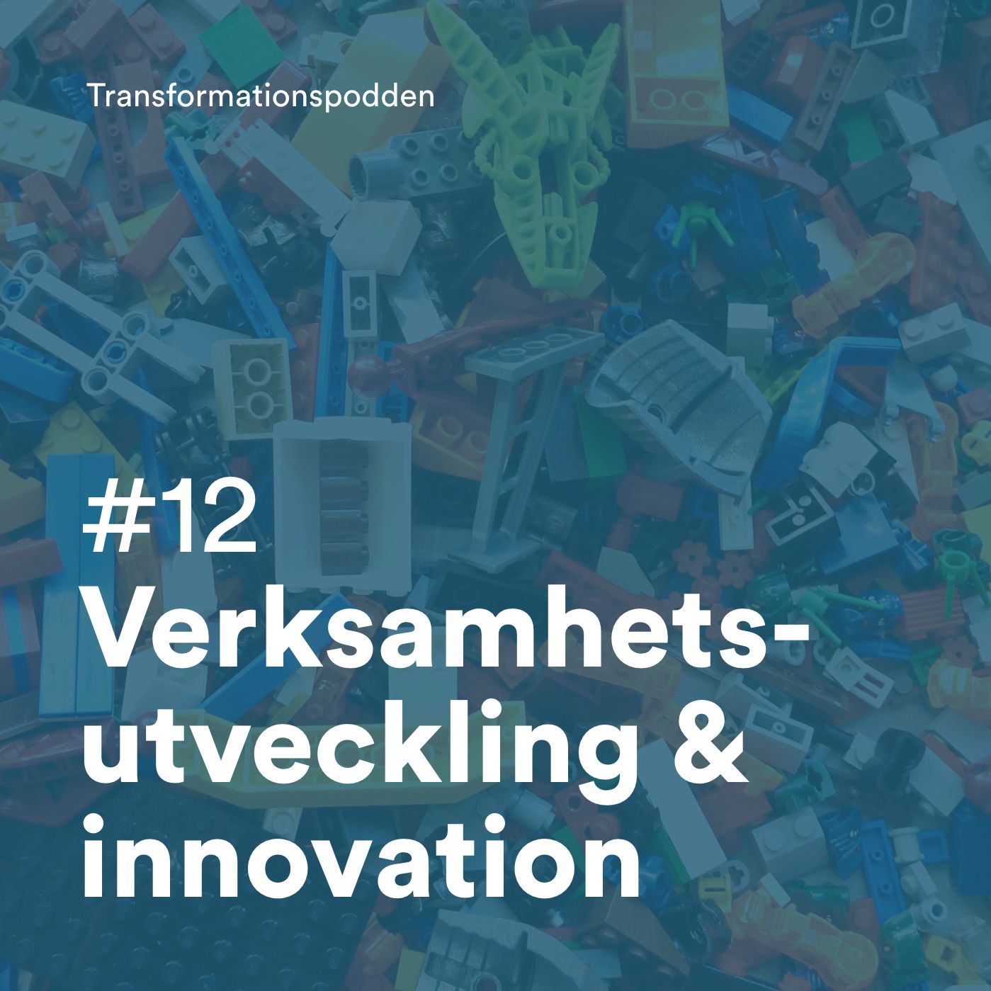 #12 - Verksamhetsutveckling & innovation