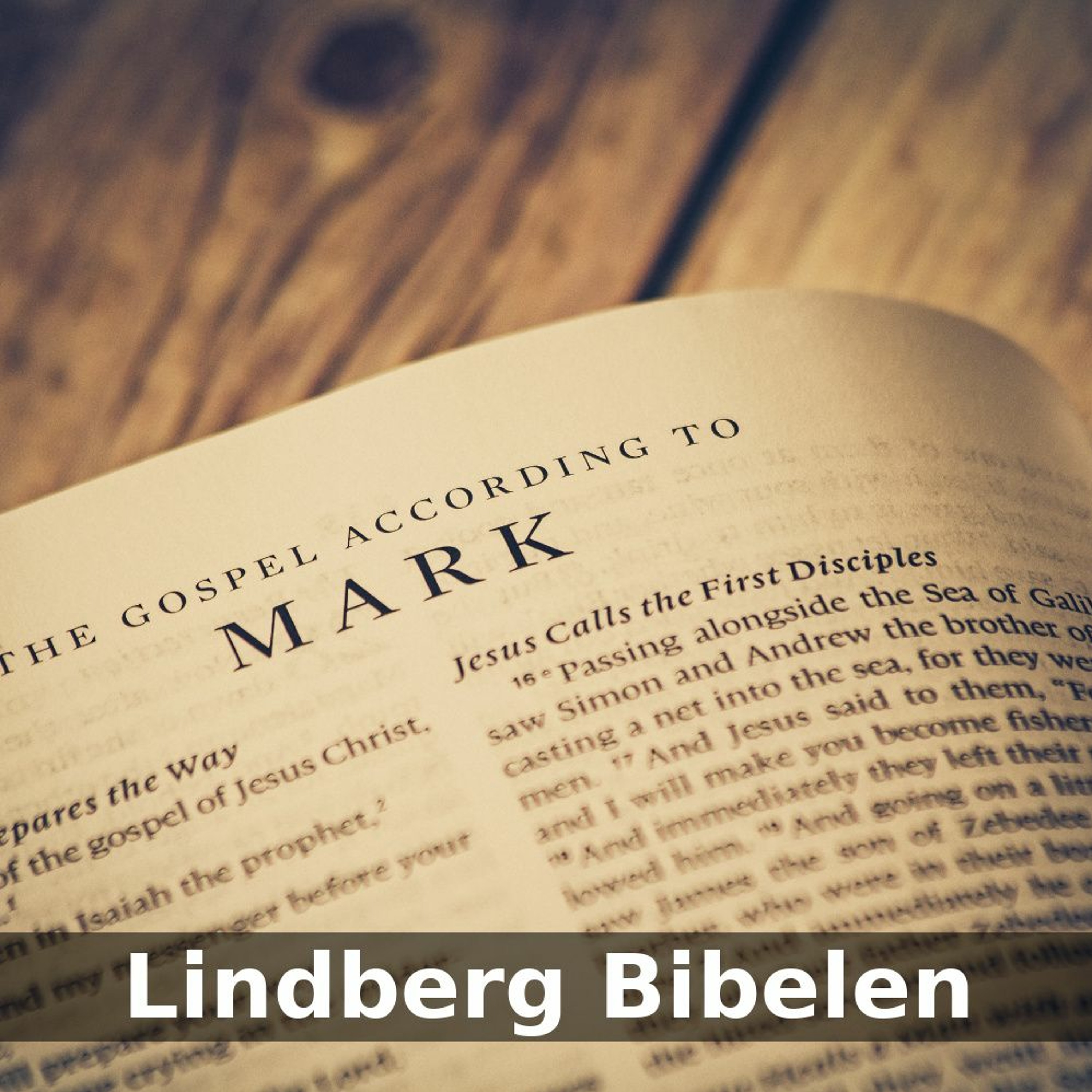 Biblos.dk - Åben bibel projekt