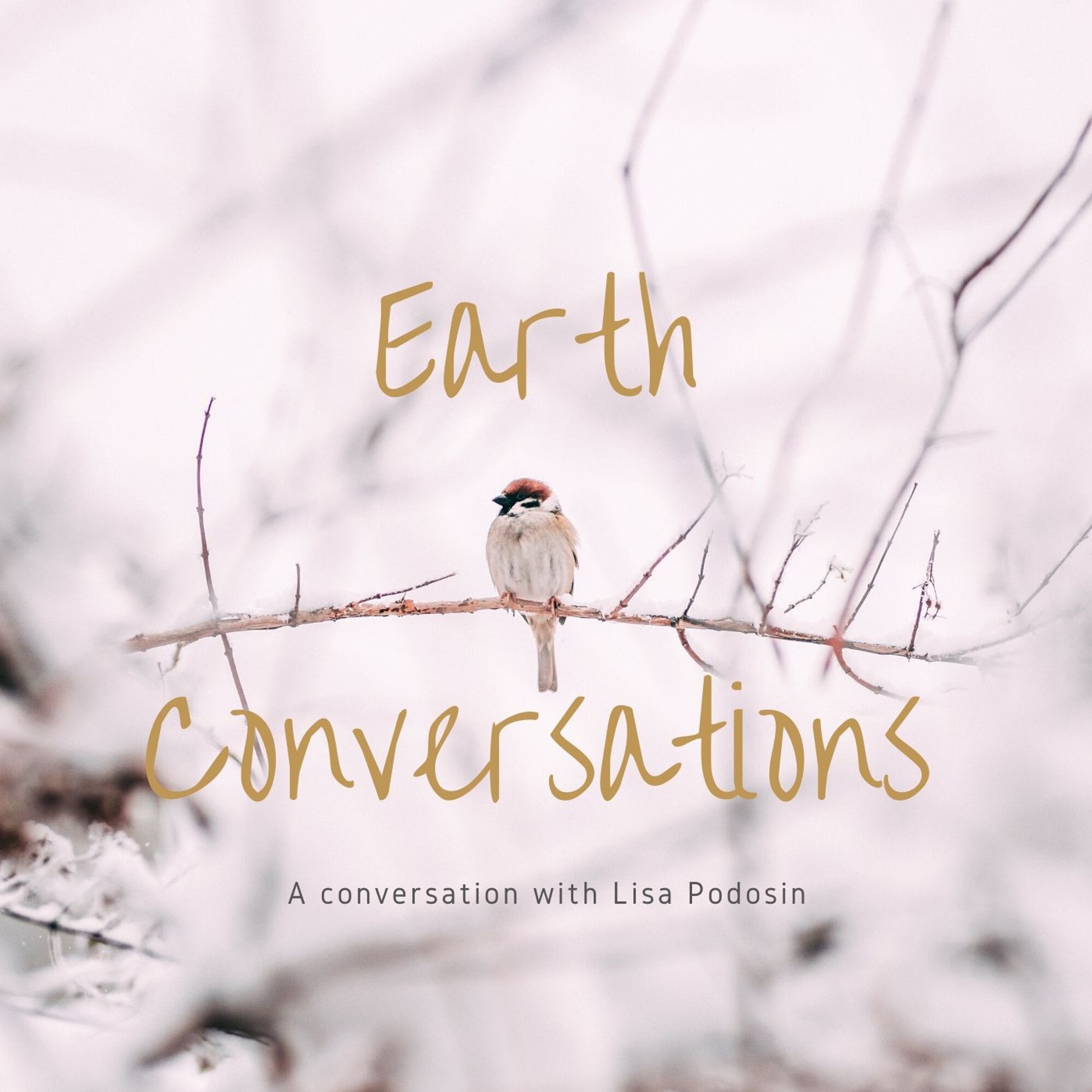 In Conversation with Lisa Podosin