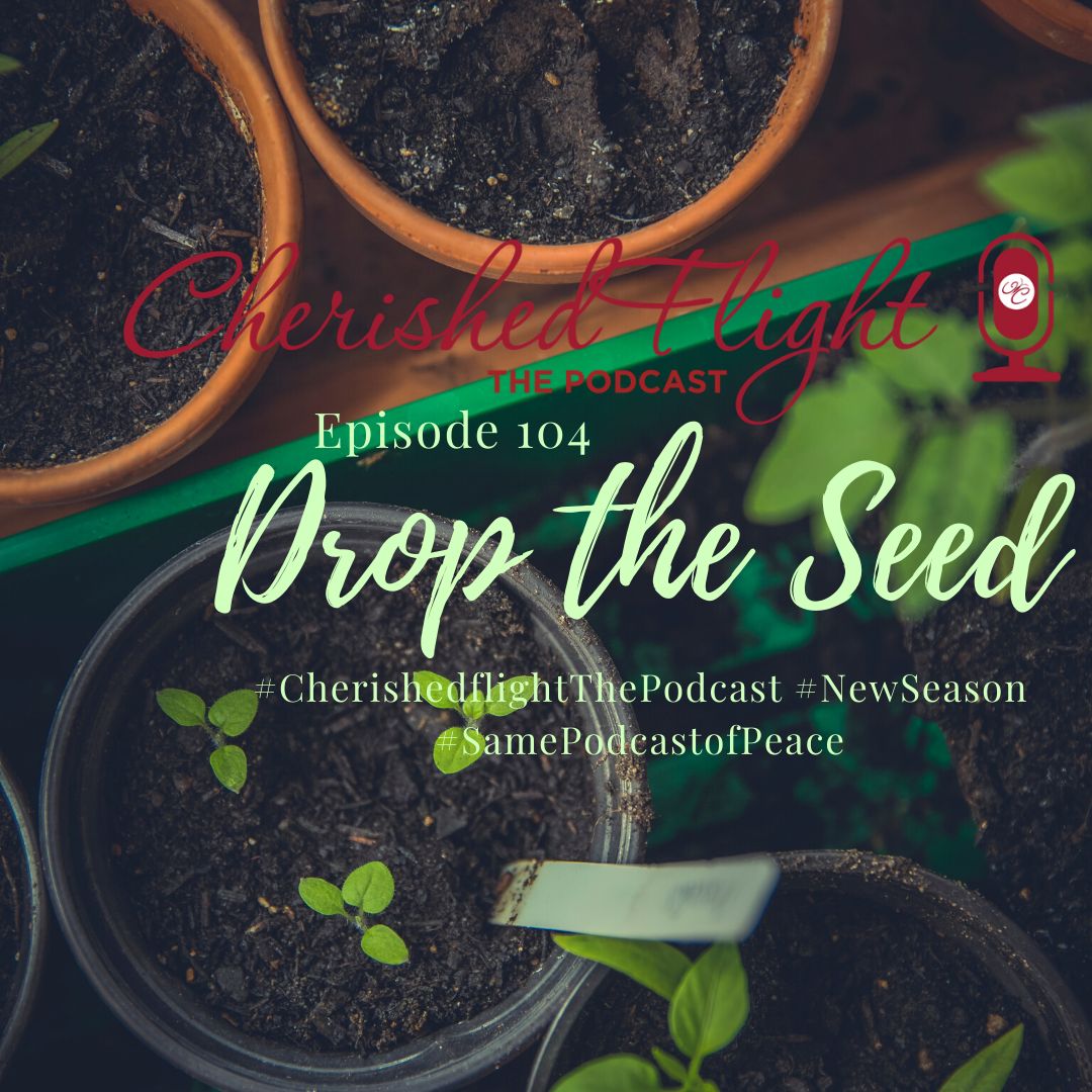 Episode 104 Drop the Seed