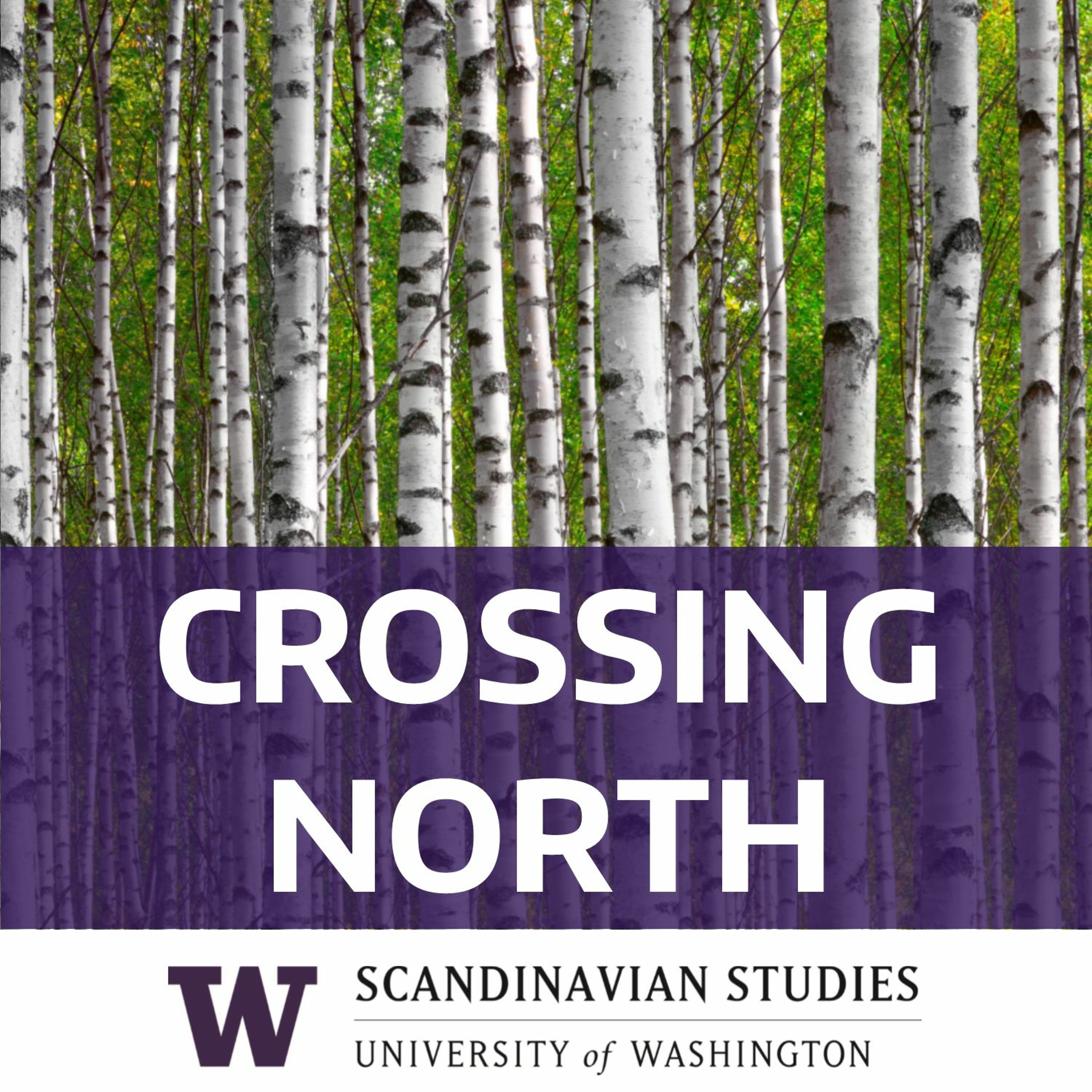 CN8 The Nordic Languages of Middle Earth (part 2)