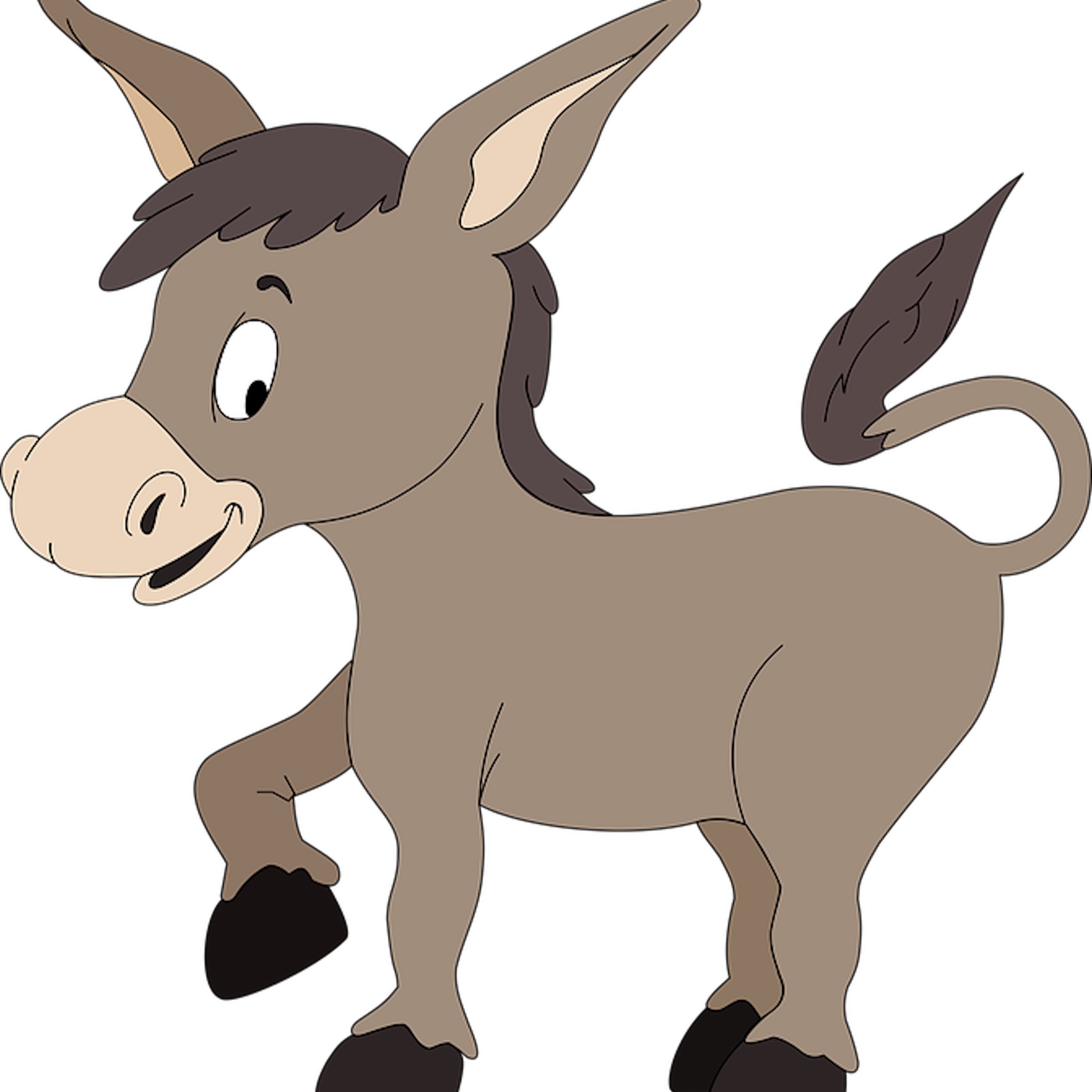 Dressing Like A Jackass