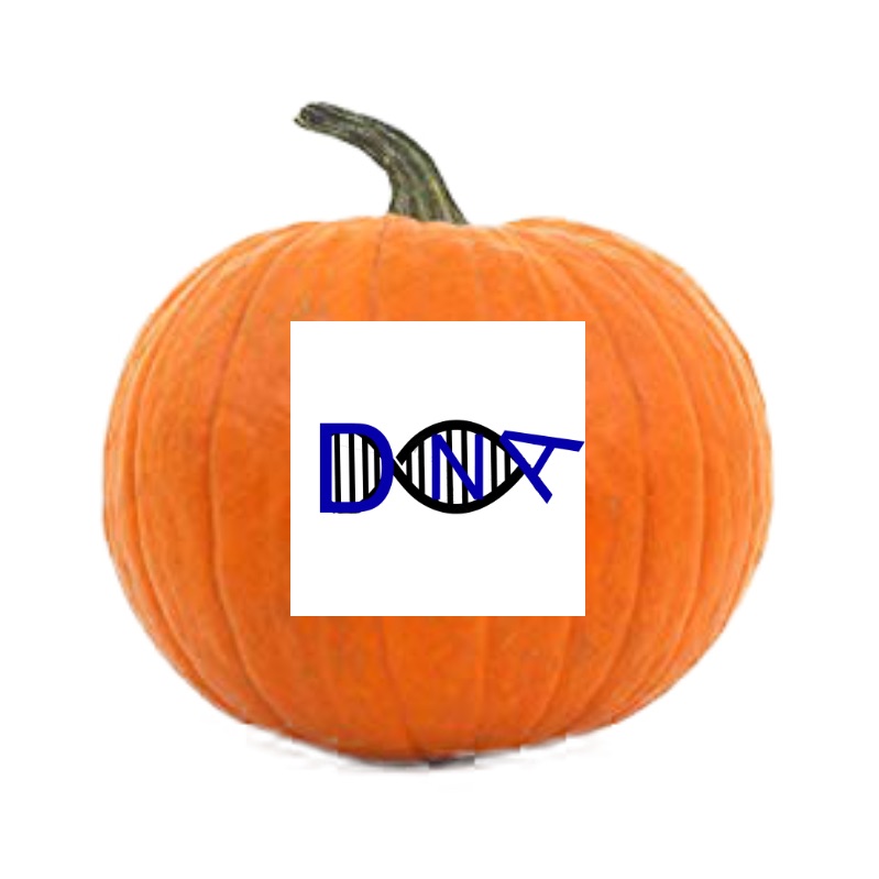 Halloween Podcast
