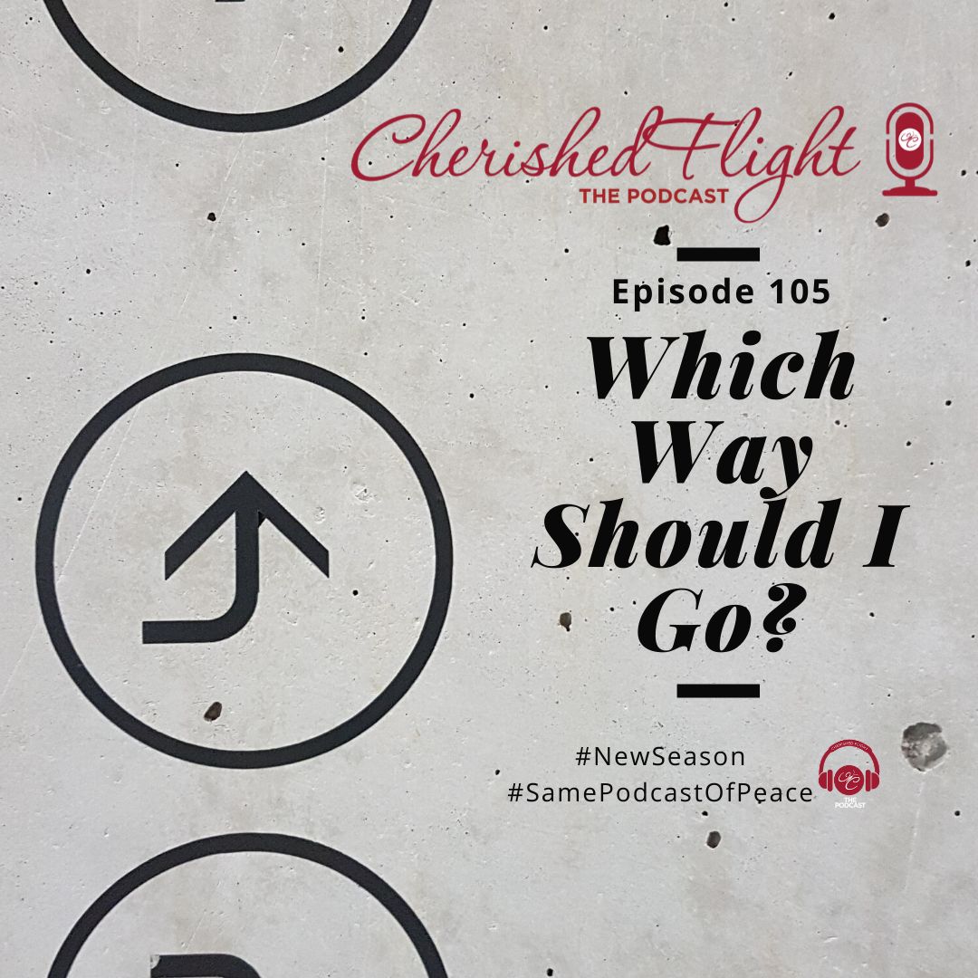 Episode 105 Which Way Should I Go?