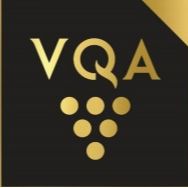The new VQA is ridiculous - Episode 166