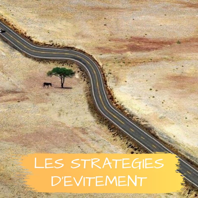 Les stratégies d'évitement