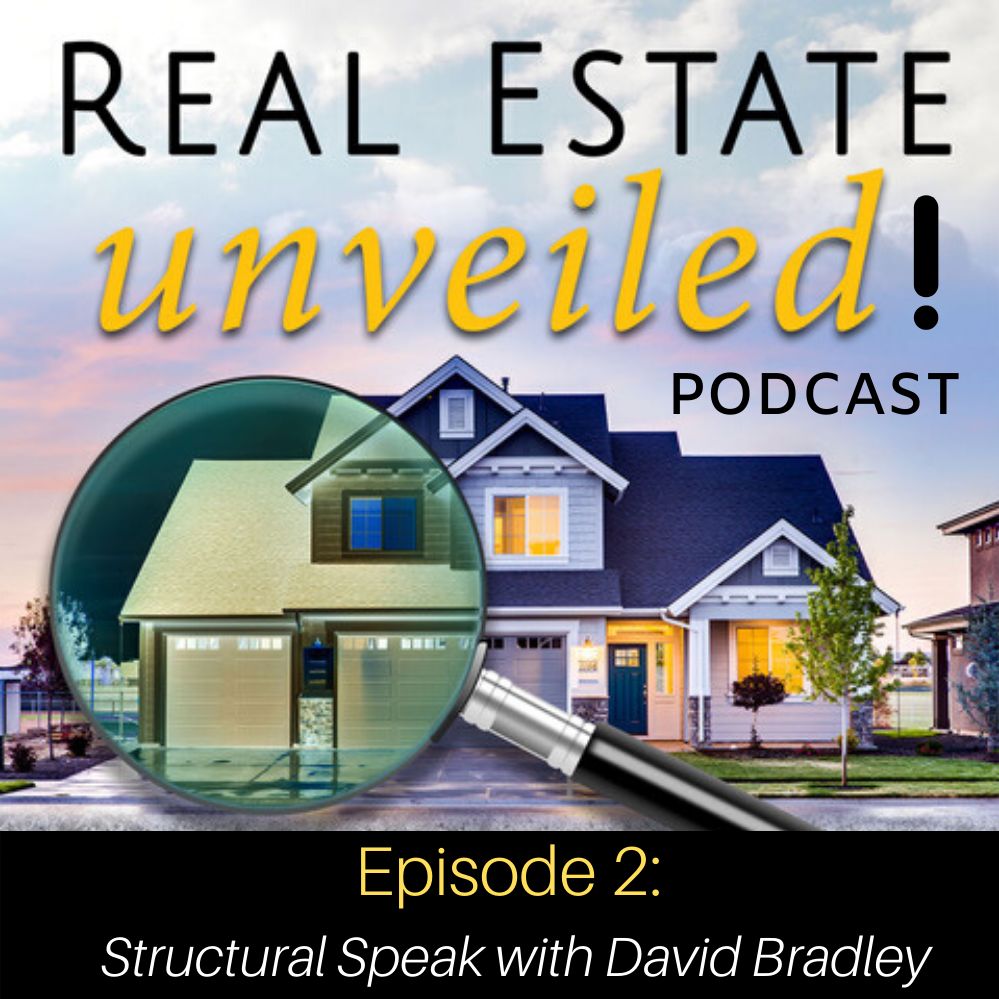 Episode 2: Structural Engineering with David Bradley of Bradley Engineering