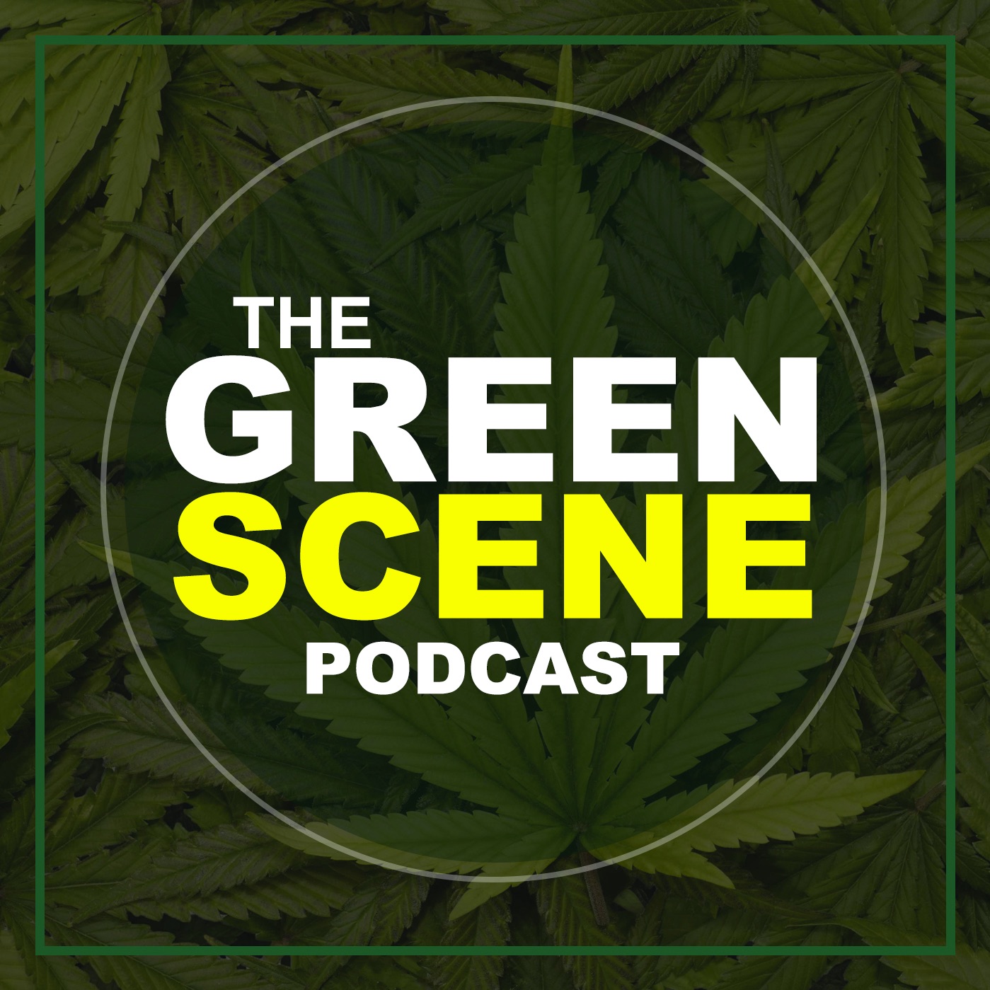 TGSP Season 3: Bruce Linton on the markets and "Cannabis 2.0"