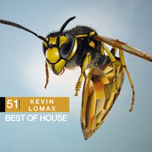 Kevin Lomax - Best of House # 51